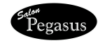 Salon Pegasus